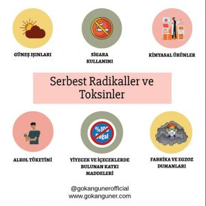 Serbest Radikaller ve Toksinler